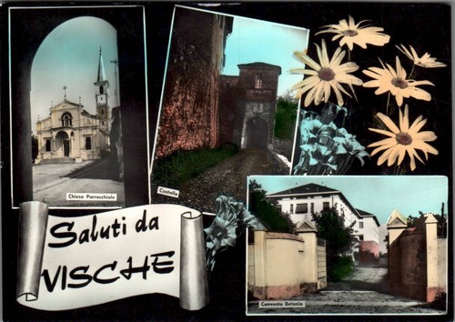 Torino vische vedutine saluti - vische,