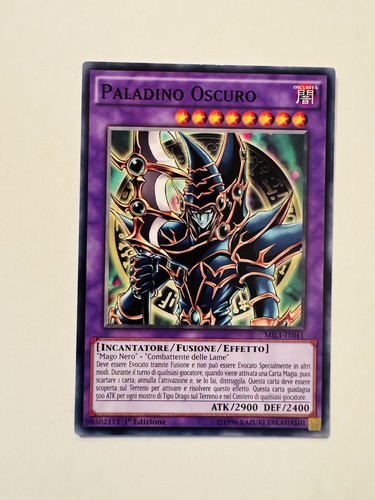Paladino oscuro - yu-gi-oh!, •