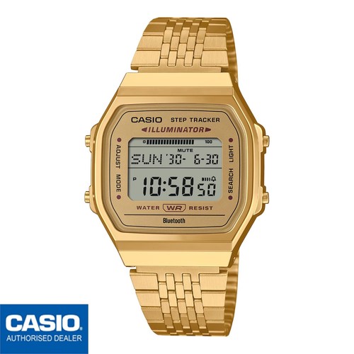 CASIO