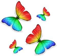 4x sticker adesivi adesivo pc