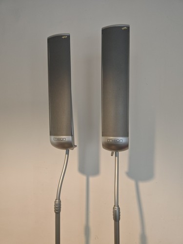 Coppia altoparlanti surround