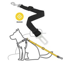 Cintura sicurezza cani cane