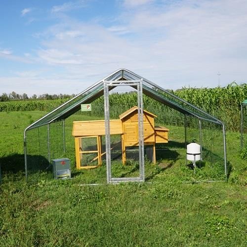 Kit pollaio padovana - kit, |