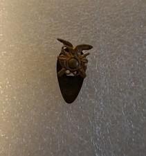 Vecchio Distintivo Spilla Pin