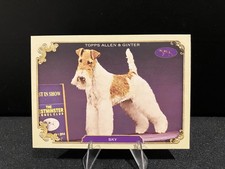 2024 Topps Allen & Ginter The