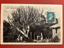 Cartolina Brasile - Porto Alegre - Cactus gigante - 1927