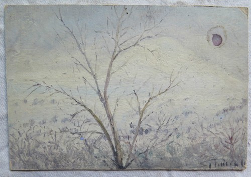 Paesaggio invernale piccolo - paesaggio,