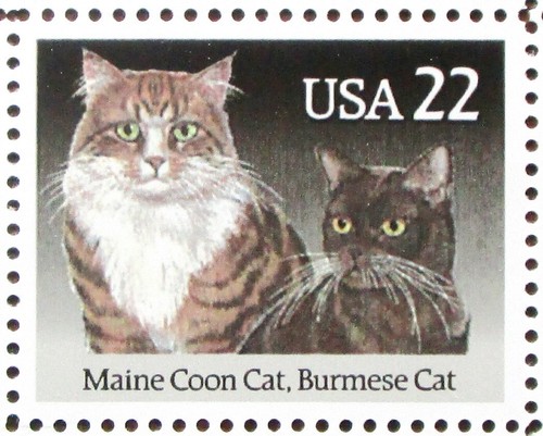 Francobollo maine coon - coon, &