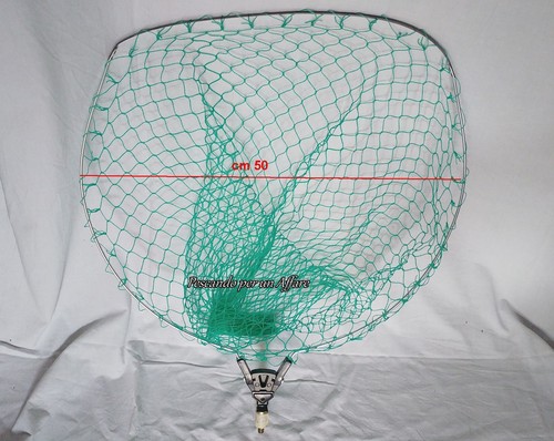 Testata guadino carpa zepre - testata,