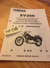 Yamaha XV250 XV 250 Istruzioni