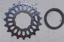 Rapporto 19 denti  +