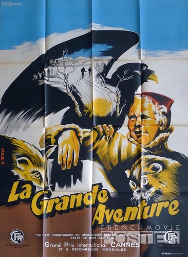 Grande avventura aquila - grande,