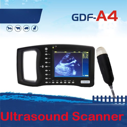 Scanner ecografico veterinario
