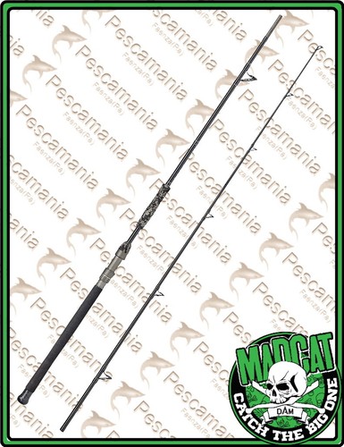 Canna madcat black deluxe - , mt