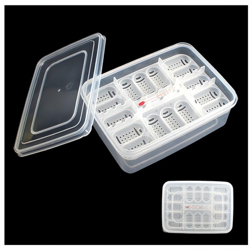 Hatching box reptile egg - hatching,