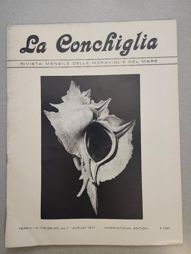 Conchiglia chicoreus murex - la,