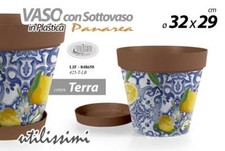 VASO PIANTE GRASSE FIORI SEMI