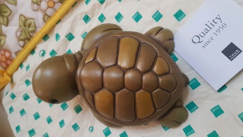 Meravigliosa tartaruga della - tartaruga,