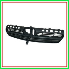 Griglia Radiatore Interna