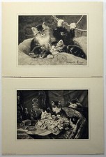 Set gattini giocosi, di