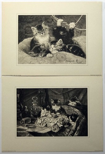 Set gattini giocosi - ,, di