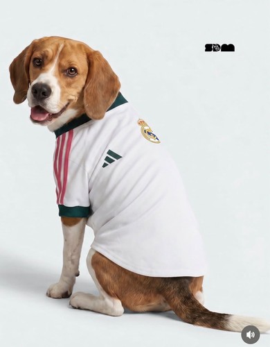 Adidas real madrid - madrid, animali