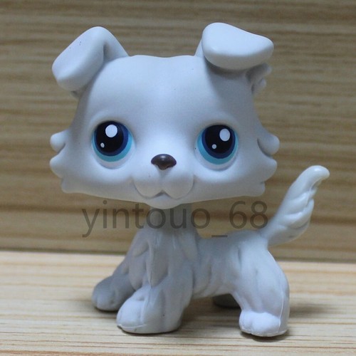 363 raro littlest - #363, pet