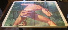 gigantografia TARZAN E LA