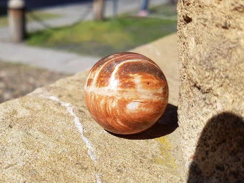Legno fossile sfera - sfera, (fossil