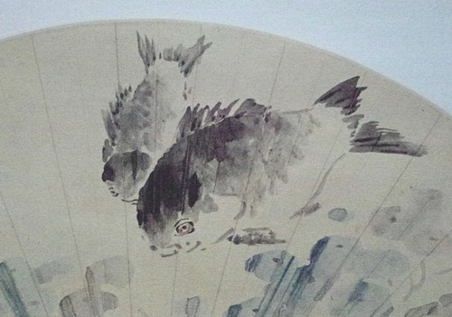 Shubunkin koi carp fish - carp, stampa