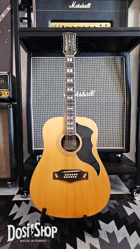 Eko ranger xii custom - xii,