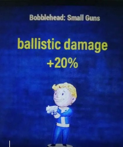 Fallout ps4 ps5 - , bobblehead