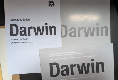 Darwin talbot rice - darwin,