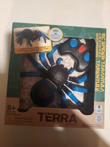 Tarantola blu ragno - blu,