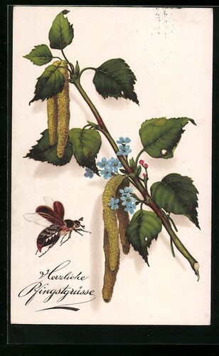 Cartolina maggiolino volante - cartolina,