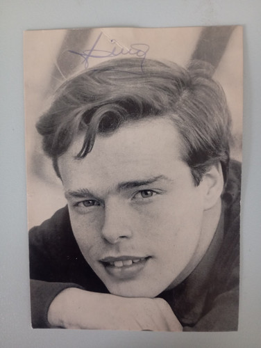 Dino autografo originale - autografo,