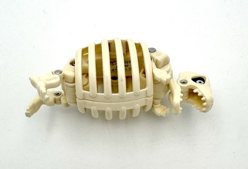 Scheletro rex bandai - scheletro, t