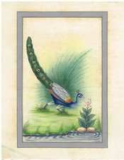 Mano Uccelli Dipinto Di Pavone