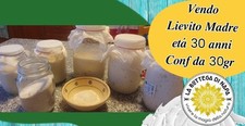 Lievito madre 32 Anni 100%