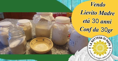 Lievito madre anni 100 - lievito,