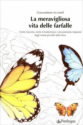 Libro meravigliosa vita - meravigliosa,