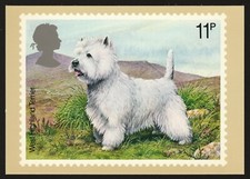 WEST HIGHLAND WHITE TERRIER **
