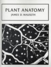 PLANT ANATOMY