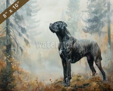 Quadro Cane Corso in un bosco