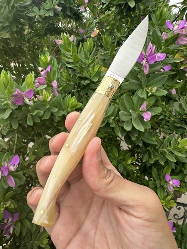 Coltello pattadese artigianale - coltello,