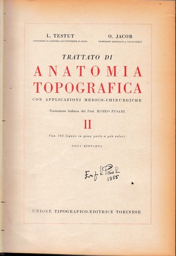 Trattato anatomia - trattato, di