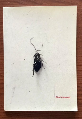 Catalogo piero pizzi - catalogo,