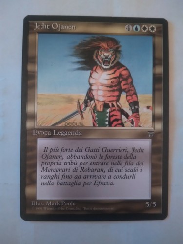 Carte mtg magic - carte,