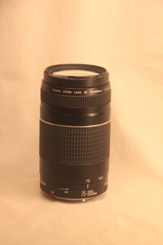 Canon 300 0 - f/4.0-5.6, iii