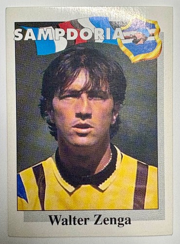 Figurine calciatori panini - figurine,